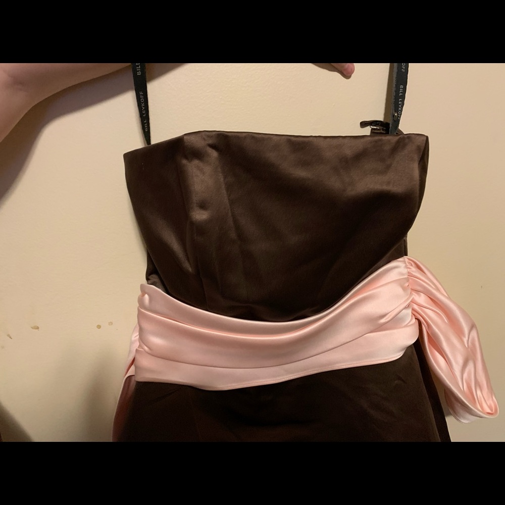 Brown and Pink Bill Levkoff Dress
